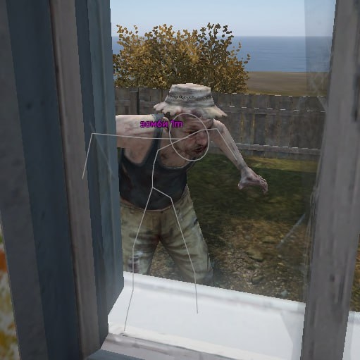 Pirate Simmoni 3